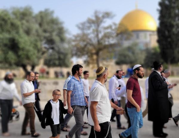 בצל התפרעויות הערבים: מאות יהודים עלו להר הבית
