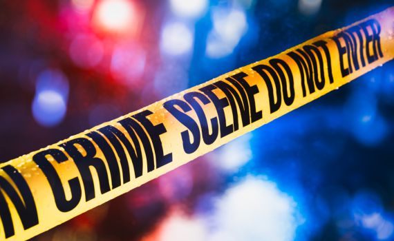 יום הספר הבינלאומי: זה הספר שאסור לכם לפספס