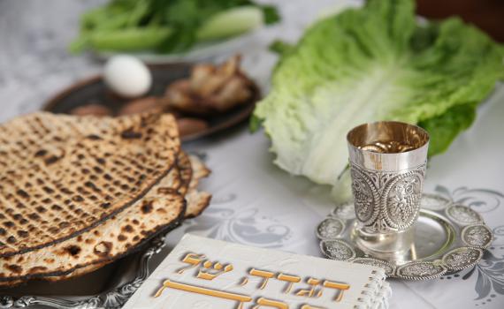 "הספר שילווה אתכם לקראת, בתוך וגם אחרי חג הפסח"