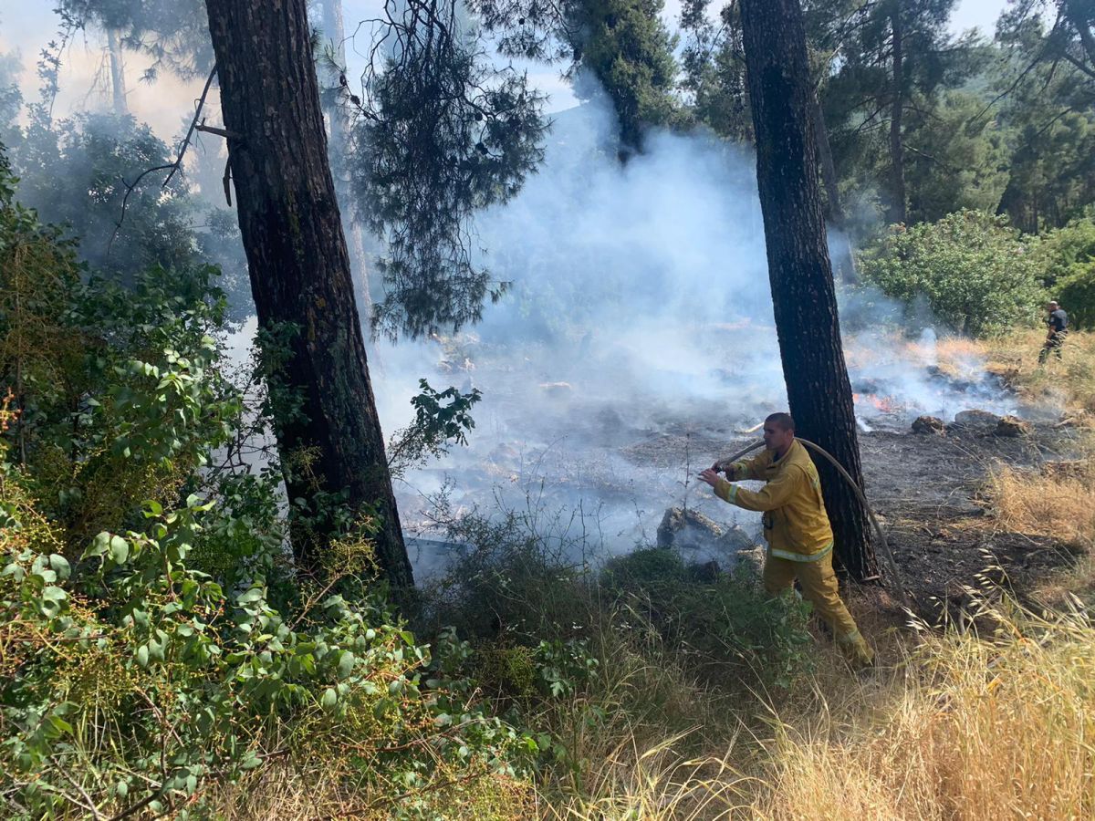 החשוד בהצתת החורש סמוך למירון: הומלס כבן 50