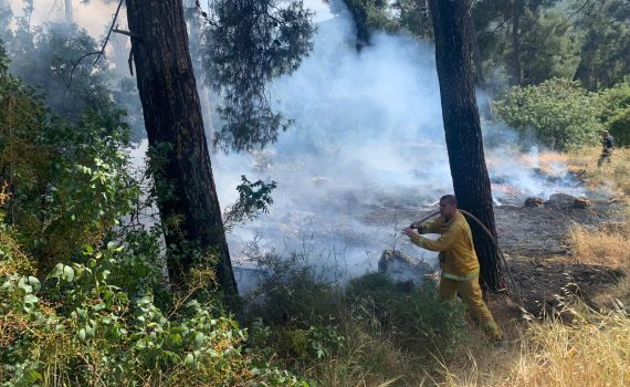 החשוד בהצתת החורש סמוך למירון: הומלס כבן 50