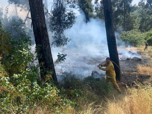 החשוד בהצתת החורש סמוך למירון: הומלס כבן 50