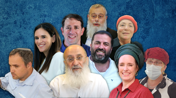 נבחרו נציגי ראש הממשלה להקמת מועצת החמ"ד