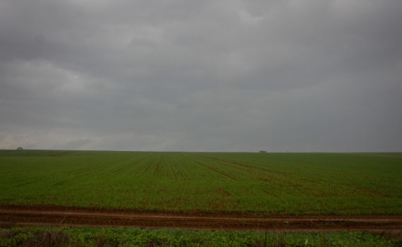 חריג | גשם, רעמים וברד: תחזית מזג אוויר לסופ"ש
