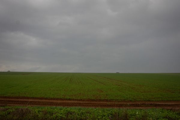 חריג | גשם, רעמים וברד: תחזית מזג אוויר לסופ"ש