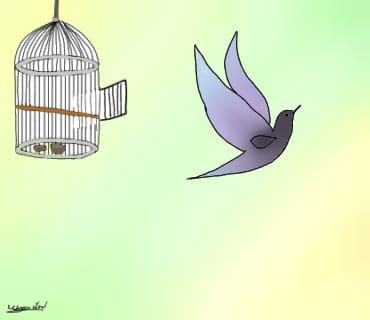 זהו, החלטתי שאני בוחרת בעצמי