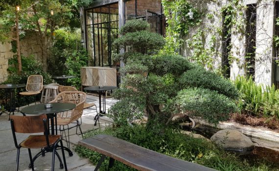 ביקורת מסעדות: חוויה אסיאתית בתוך הטבע