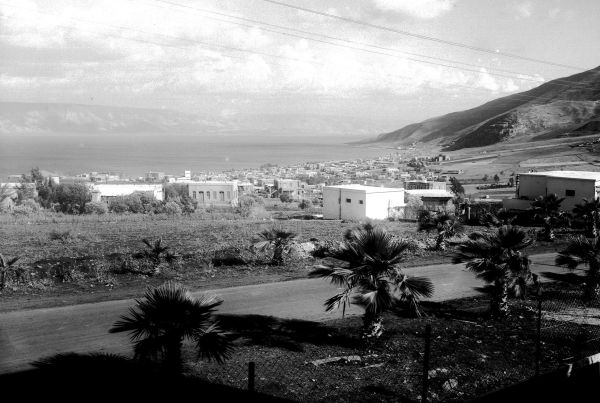 היום בהיסטוריה: הקריבה חייה למען הצלת חיי יהודים