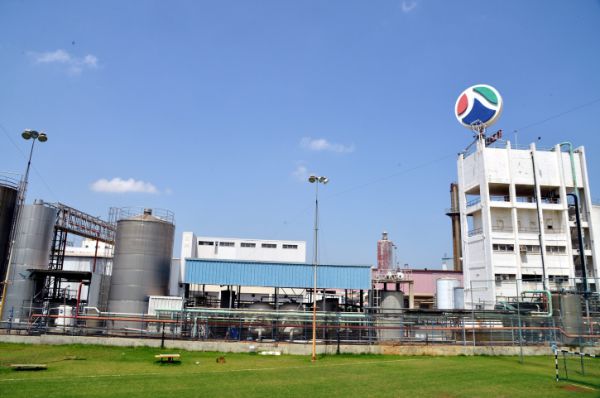 ריקול ליוגורט של תנובה: "נמצא טעם לא אופייני"