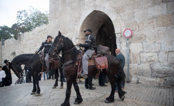 נסיון פיגוע בהר הבית: מחבל ניסה לתקוף שוטרים ונוטרל