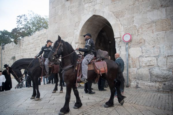 נסיון פיגוע בהר הבית: מחבל ניסה לתקוף שוטרים ונוטרל