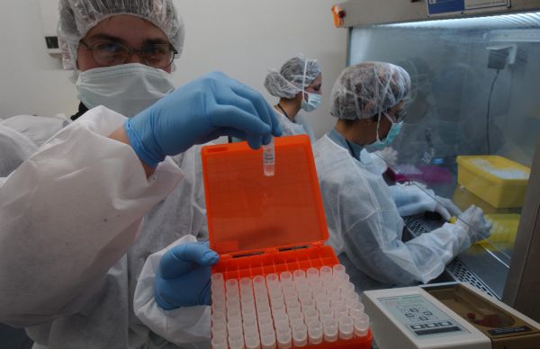 חולים רבים באבעבועות הקוף הם גברים להט"בים