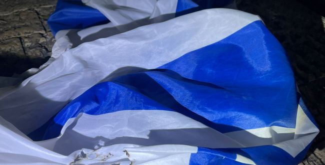 ביום הזיכרון: תלשו דגלי ישראל וניסו להציתם