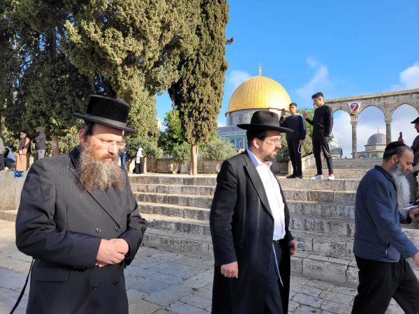 צפו: הר הבית נפתח מחדש לעליית יהודים