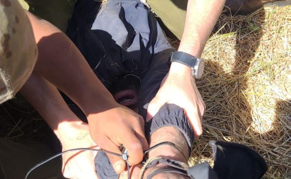 עם דם על הידיים – צפו ברגע תפיסת המחבלים