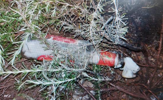 נמנע אסון כבד: חוליית מחבלים חוסלה בדרכה לבצע פיגוע