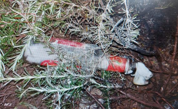 זריקות בקת"בים על רכבים: נעצרו 7 קטינים מכפר בצפון