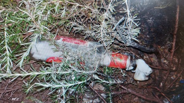 נמנע אסון כבד: חוליית מחבלים חוסלה בדרכה לבצע פיגוע