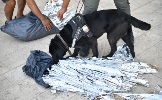 לקראת המשחק בטדי: עשרה חשודים נעצרו