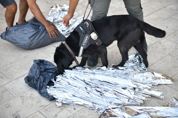 לקראת המשחק בטדי: עשרה חשודים נעצרו