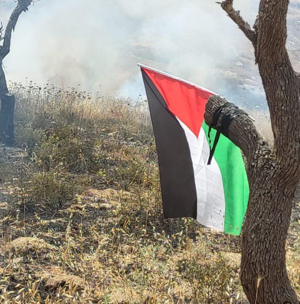 טרור ההצתות חוזר: דגל פלסטין תלוי במוקדי שריפות