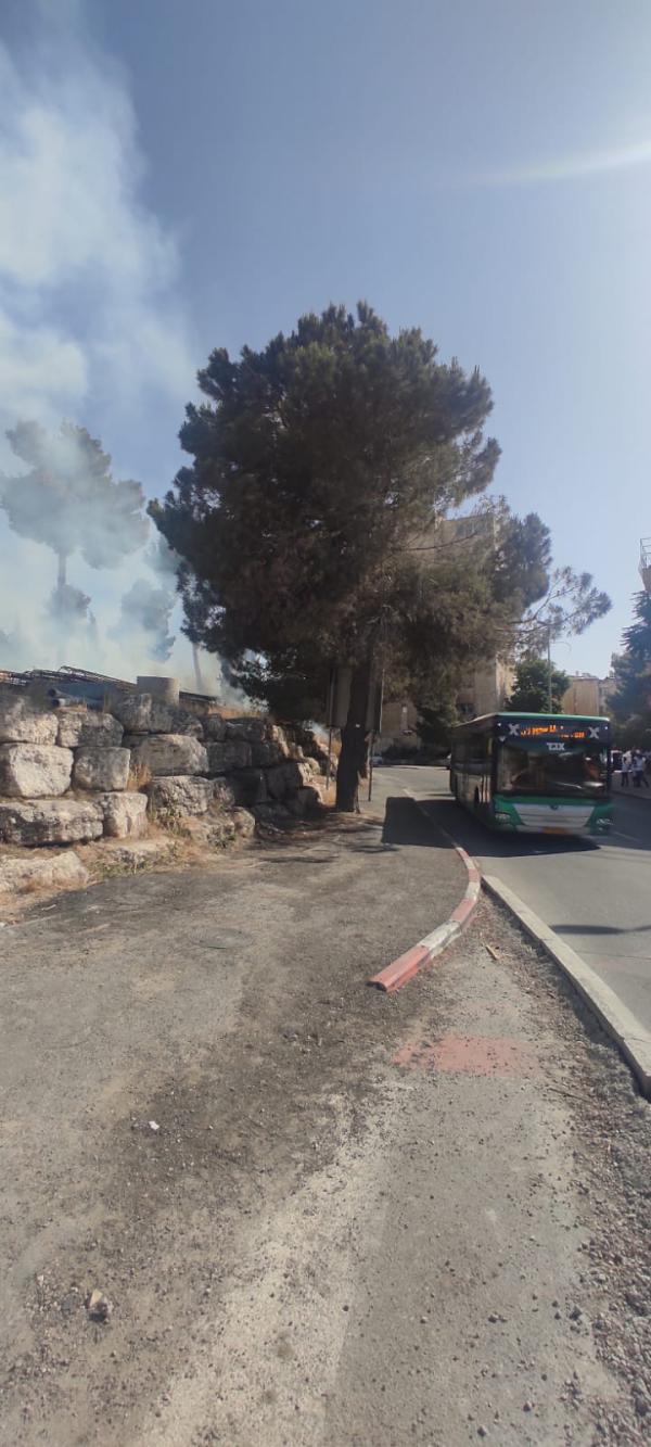 שריפה באזור גבעת התחמושת