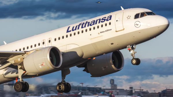 לופטהנזה מתנצלת: סליחה שגירשנו את היהודים