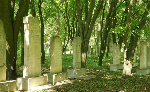 מצבות נהרסו: בית קברות יהודי הותקף באוקראינה