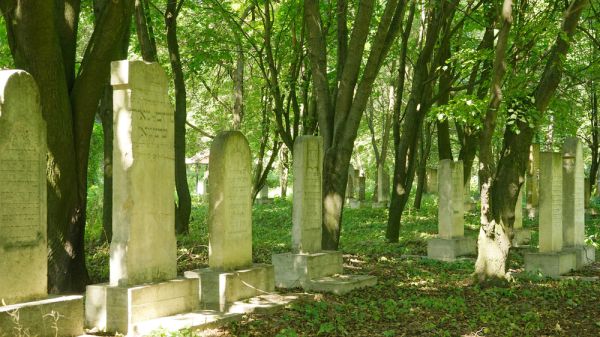 מצבות נהרסו: בית קברות יהודי הותקף באוקראינה