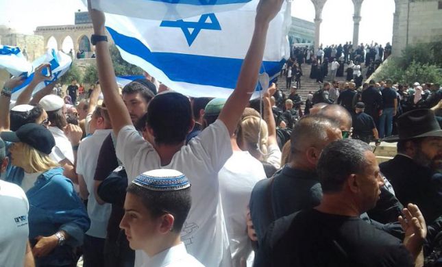  55 שנה אחרי: דגל ישראל שוב מונף בהר הבית