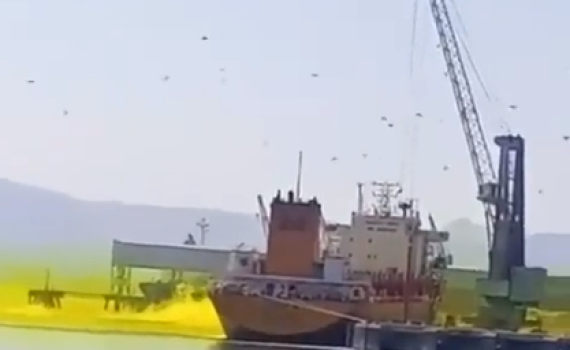 אירוע חריג בירדן: 10 הרוגים ומאות פצועים בדליפת גז רעיל