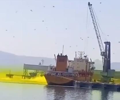 אירוע חריג בירדן: 10 הרוגים ומאות פצועים בדליפת גז רעיל