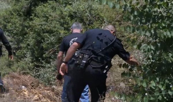 פרשת ספיר נחום: גל של פניות למוקד 'יד לאחים'