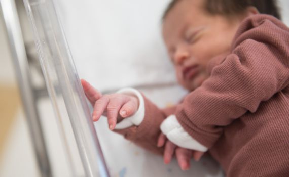 איפה עובר הגבול של ההפלות המותרות?