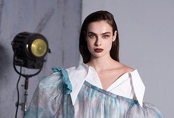 סיפורי אגדות ואימוץ מווייטנאם: תצוגת הגמר של שנקר