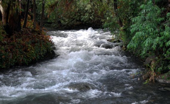 חצבני, אל על ונחל הירדן: זיהום בנחלים בצפון