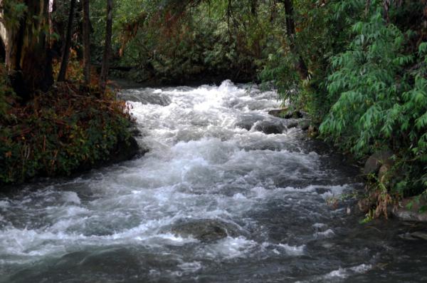 חצבני, אל על ונחל הירדן: זיהום בנחלים בצפון