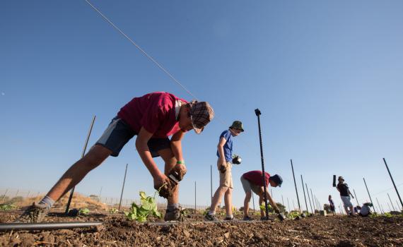 אנחנו דור העתיד? אז תנו לנו להתקדם