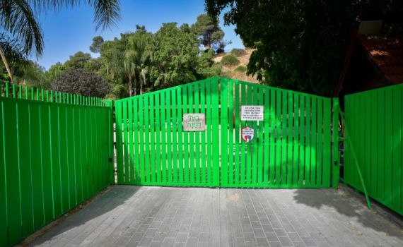 אחרי חודש: המשטרה פתחה בחקירת הרעלת המזון במעון