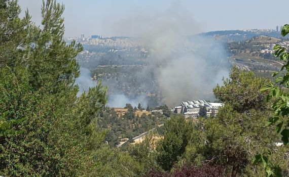 שריפה גדולה בהרי ירושלים: עשרות צוותי כיבוי במקום
