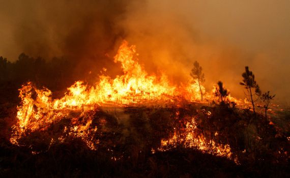 שריפות באתונה, אחרי היום הכי חם בבריטניה