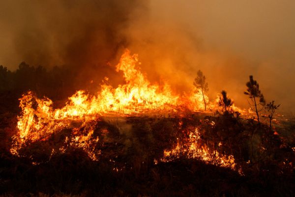 אירופה בוערת: עשרות שריפות פרצו בגל חום חריג
