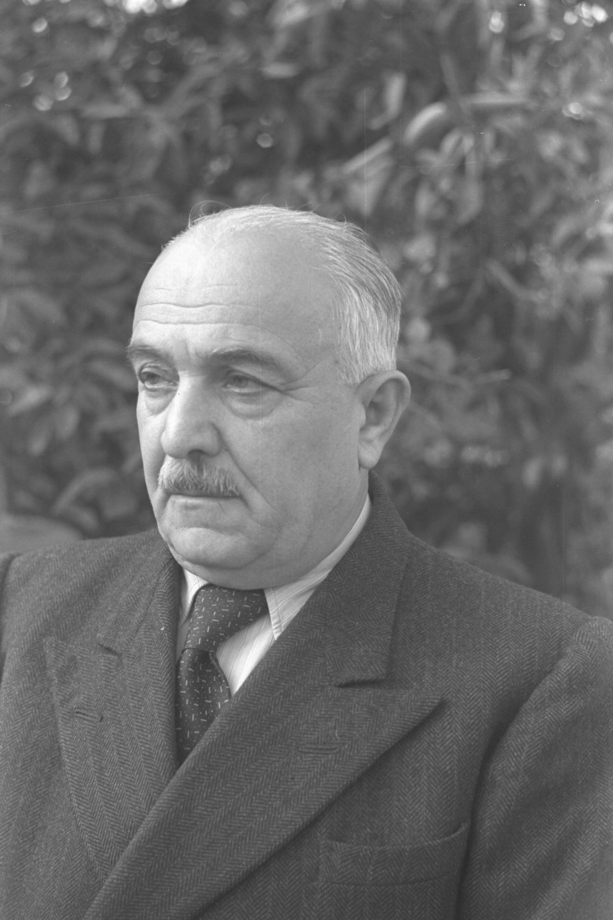 היום בהיסטוריה: כופר הישוב גיוס ההמונים הראשון