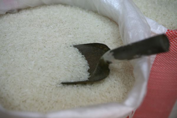 השייח' מעזה בסיפור חסידי: גרגר אורז אחד הוא המפתח לגן עדן