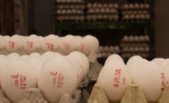 ממחר: מחירי הביצים יתייקרו בשיעור של 6.5%