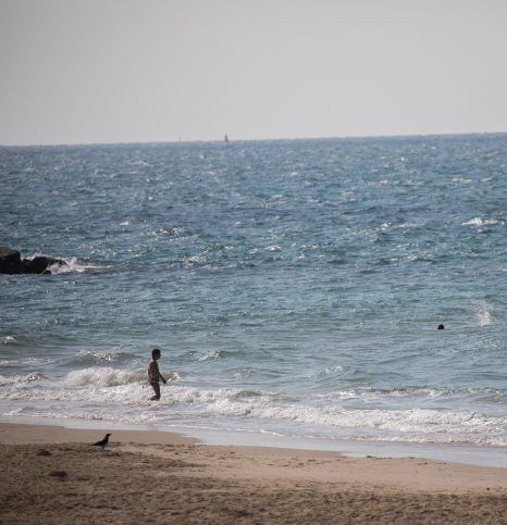 בני 8 ו-6 במצב קשה לאחר שטבעו בחוף באשקלון