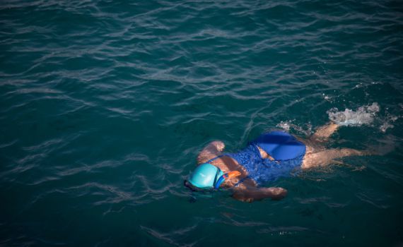 זהירות: כריש תקף אישה למוות בחופי סיני