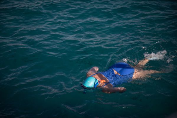 זהירות: כריש תקף אישה למוות בחופי סיני
