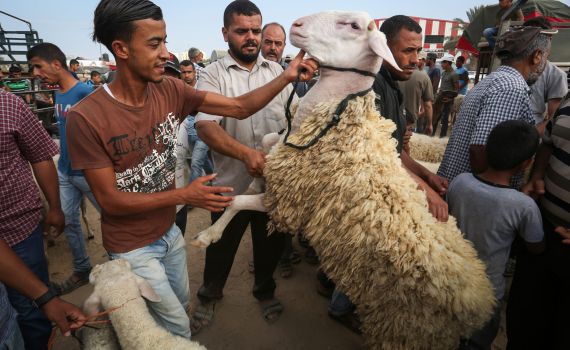 חג הקורבן עיד אלאדח'א: על מה ולמה חוגגים?