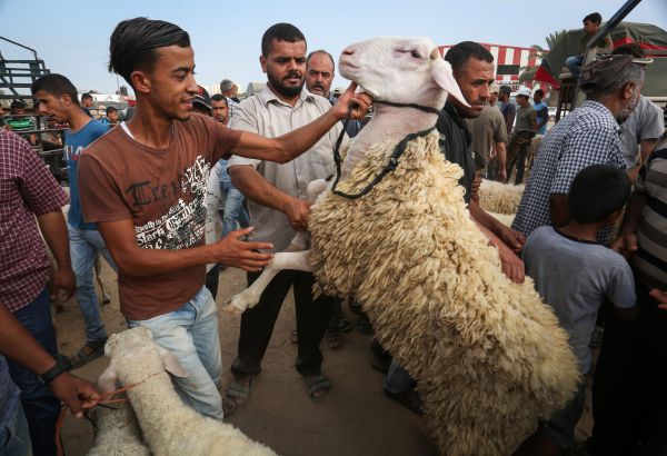 חג הקורבן עיד אלאדח'א: על מה ולמה חוגגים?